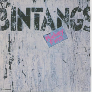 ดาวน์โหลดและฟังเพลง Sweet Savage Love พร้อมเนื้อเพลงจาก The Bintangs