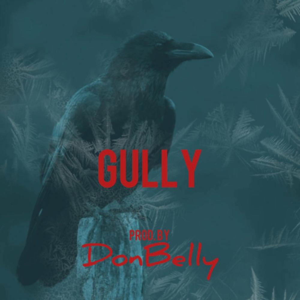 GULLY