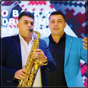 Listen to Are Mama Un Fecior song with lyrics from Boby Dragomir