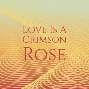 Album Love Is A Crimson Rose from Silvia Natiello-Spiller