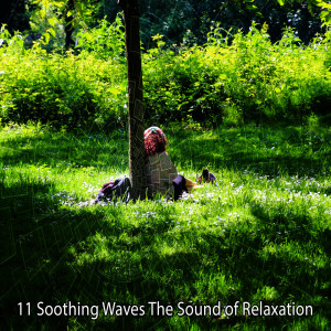 Listen to The Dawn Chorus Of Binaural Beats song with lyrics from Binaural Beats Brainwave Entrainment