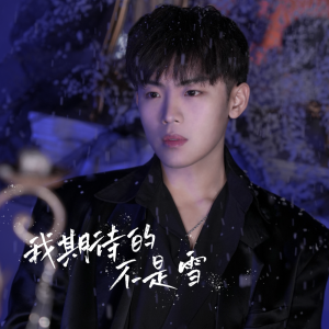 收聽劉泰旭的我期待的不是雪歌詞歌曲