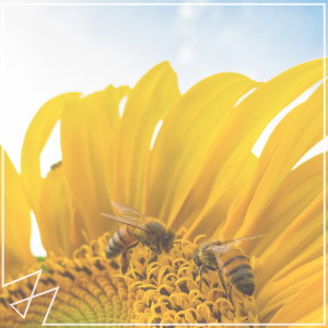 ดาวน์โหลดและฟังเพลง Heat Waves พร้อมเนื้อเพลงจาก Madilyn