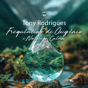 ดาวน์โหลดและฟังเพลง Fluir da Energia พร้อมเนื้อเพลงจาก Tony Rodrigues
