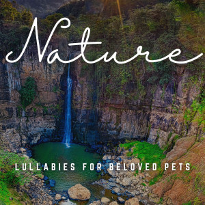 Relax Meditation Sleep的專輯Paws at Peace: Lullabies for Beloved Pets