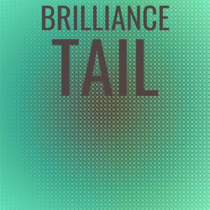 Dengarkan lagu Brilliance Tail nyanyian Darn Brer dengan lirik