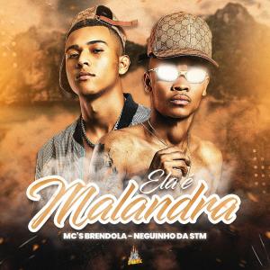 ดาวน์โหลดและฟังเพลง Ela É Malandra พร้อมเนื้อเพลงจาก MC Brendola