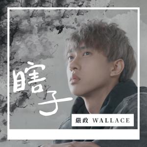 收聽嚴政的瞎子歌詞歌曲