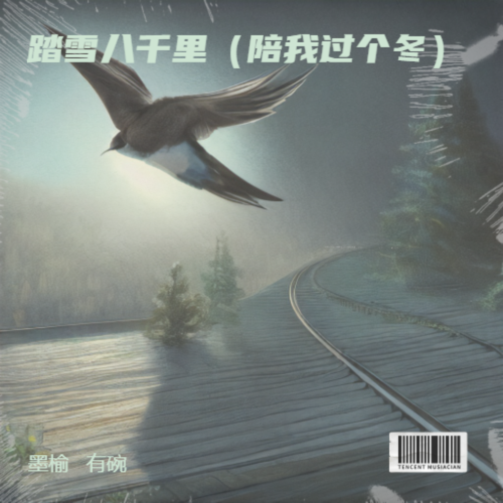 踏雪八千里（DJ阿卓版）伴奏 (完整版)