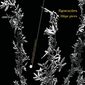Listen to Figurações VIII (1995) song with lyrics from Ricardo Santos