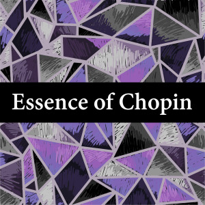 ดาวน์โหลดและฟังเพลง Chopin: Piano Concerto No. 1 in E Minor, Op. 11 - 3. Rondo (Vivace) พร้อมเนื้อเพลงจาก 조성진