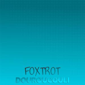 Various的专辑Foxtrot Douroucouli