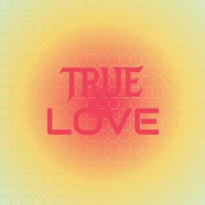 อัลบัม True Love ศิลปิน Silvia Natiello-Spiller