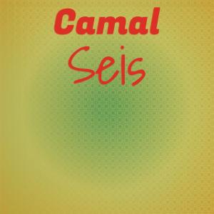 Album Camal Seis oleh Various