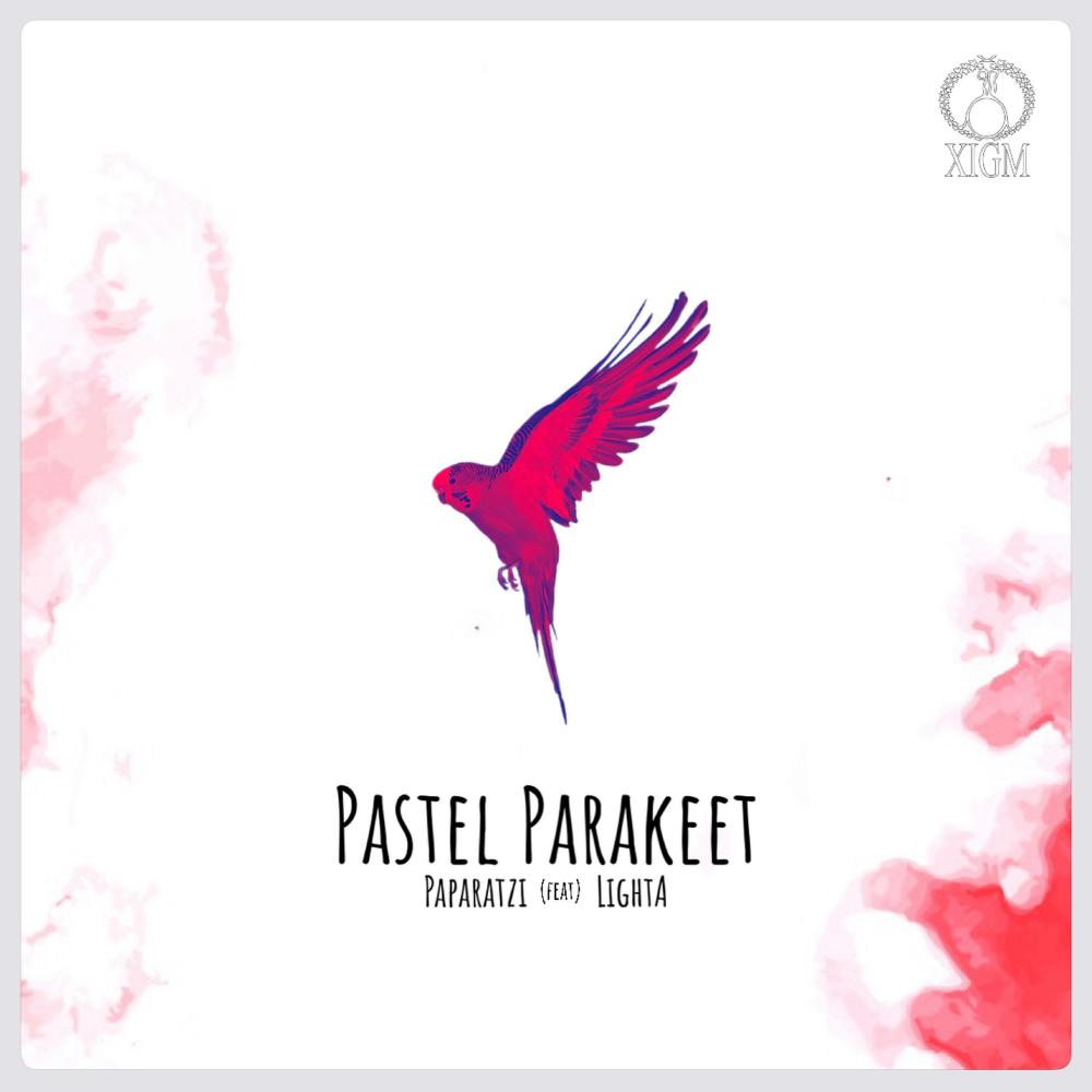 PasteL ParakeeT (feat. Lighta)