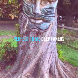 Deep Fakers的專輯Perfect to Me