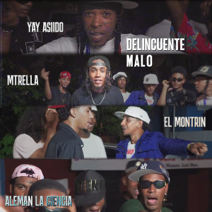 收聽Aleman La Ciencia的Delincuente Malo歌詞歌曲