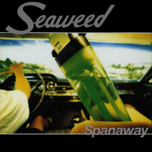 ดาวน์โหลดและฟังเพลง Magic Mountainman พร้อมเนื้อเพลงจาก Seaweed