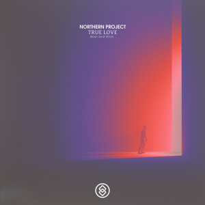 Northern Project的专辑True Love (Bram VanK Remix)