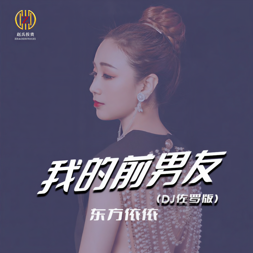 我的前男友 (DJ佐罗版伴奏)