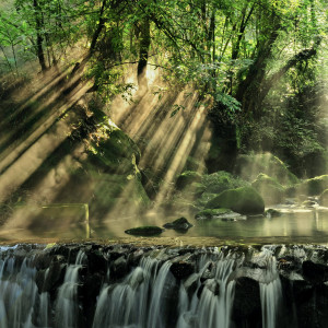 ดาวน์โหลดและฟังเพลง Resonant Harmony พร้อมเนื้อเพลงจาก Hace LA