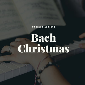 Listen to Christmas Oratorio, Bwv 248 Pt. 2: So Recht, Ihr Engel song with lyrics from Berliner Philharmoniker