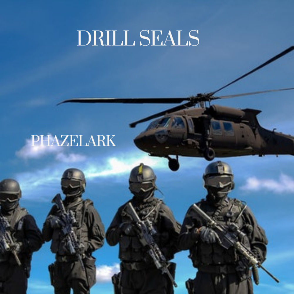 Drill Seals