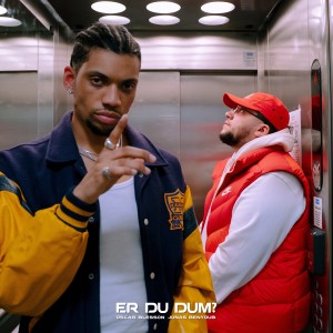 Er Du Dum? (feat. Jonas Benyoub) (Explicit)