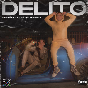 Album Delito from Sandro