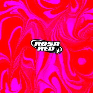Album Feels from Rosa Red
