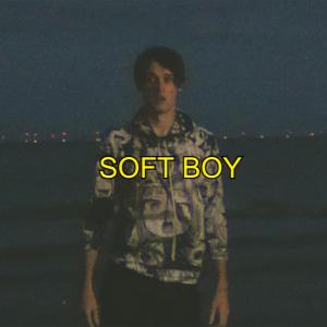 收聽Wilbur Soot的Soft Boy歌詞歌曲