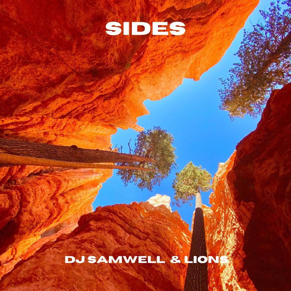 SIDES