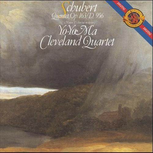 String Quintet in C Major, D. 956, Op. 163: II. Adagio