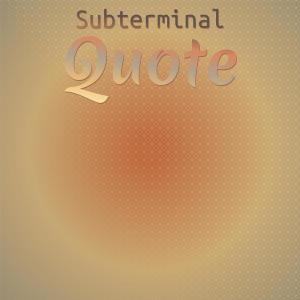 Various Artists的專輯Subterminal Quote