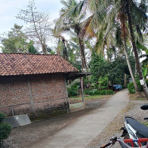 Listen to Pusing song with lyrics from Keya