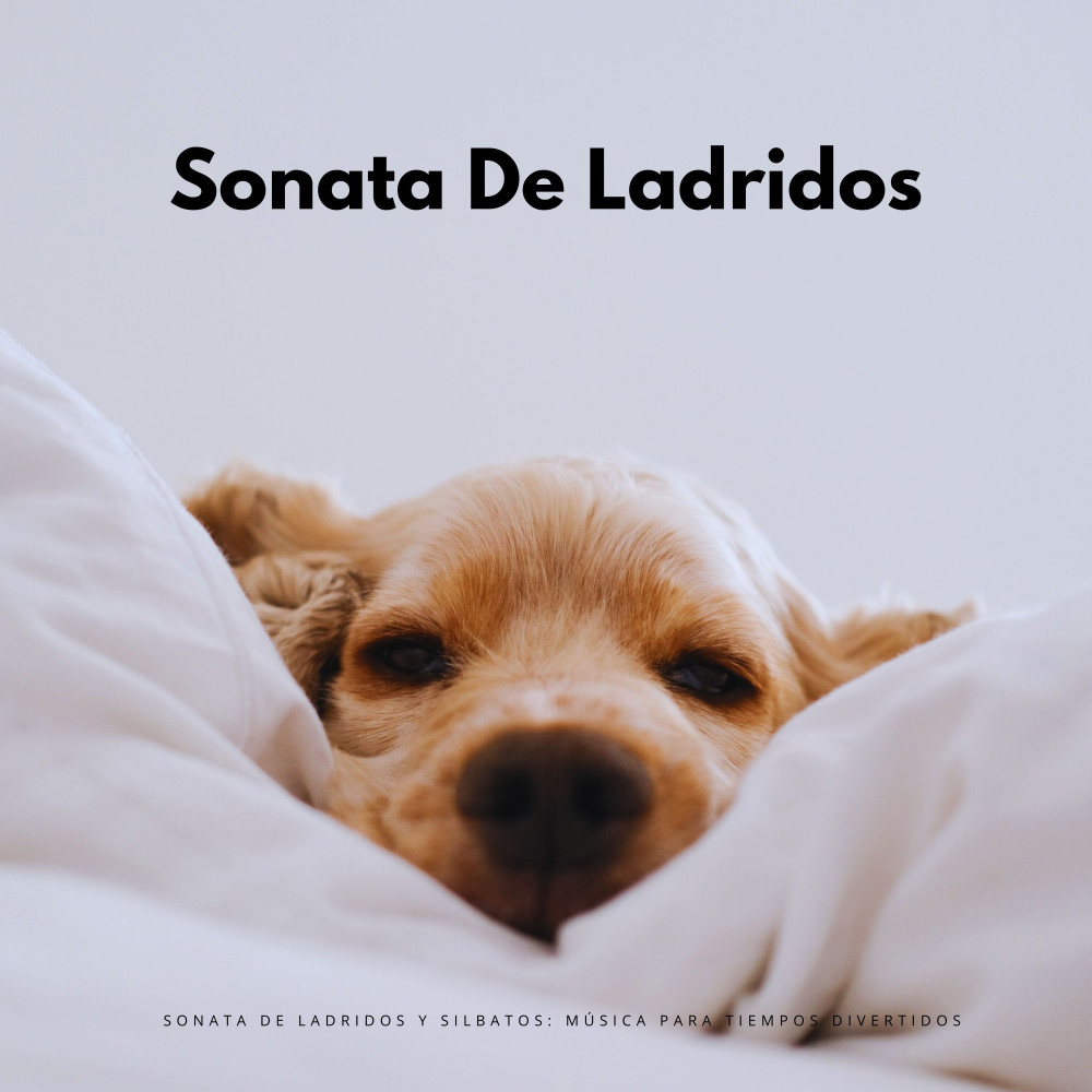 Cadencia De Tiempos Divertidos