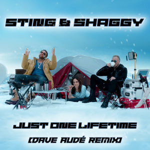 Sting的專輯Just One Lifetime