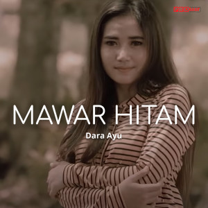 Dengarkan lagu Mawar Hitam nyanyian Dara Ayu dengan lirik