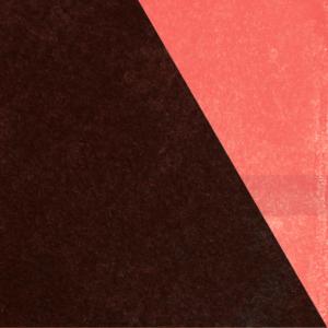 ดาวน์โหลดและฟังเพลง Wild Flower พร้อมเนื้อเพลงจาก Florian Arbenz