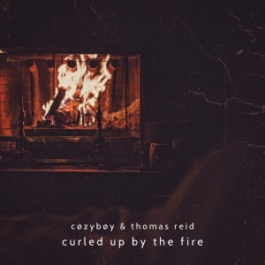 Curled up by the Fire
