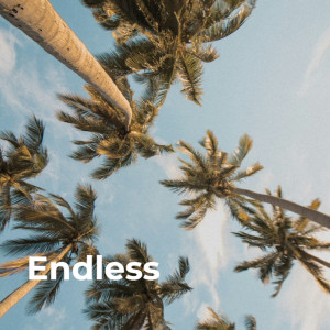 Album Endless from Schmiddi