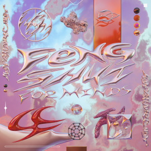 Album Feng Shui for Minds from Various