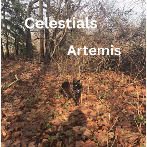Album Artemis oleh Celestials