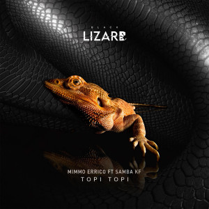 Listen to Topi Topi song with lyrics from Mimmo Errico