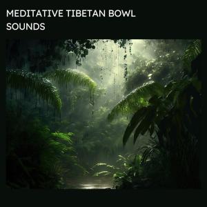 Chime Dolma的专辑Meditative Tibetan Bowl Sounds