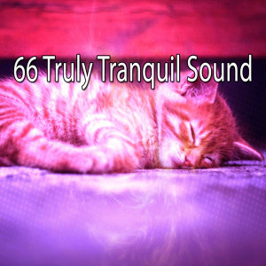 Listen to Getting Shuteye song with lyrics from Best Relaxing Spa Music