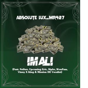 Album Imali (feat. Neilwe, Upcoming Eric, Sipho_WowFam, VinnyXKing & MissionDevocalist) [with MissionDeVocalist] from Absolute Lux_Mr427