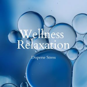 Dengarkan Feel Free And Relaxed lagu dari Seeking Blue dengan lirik