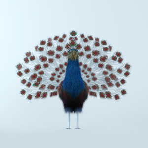 Album 구애 from Ohiorabbit