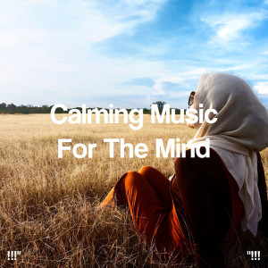 Album "!!! Calming Music For The Mind !!!" oleh Musica Relajante